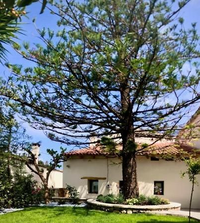 Gasthaus Chorio House Platanias Vrísai Exterior foto