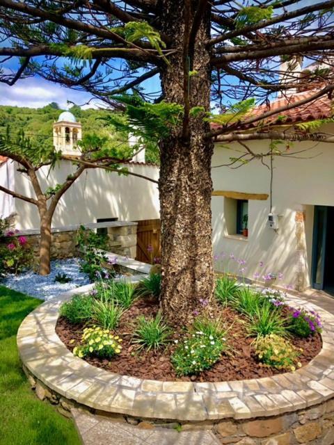 Gasthaus Chorio House Platanias Vrísai Exterior foto